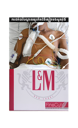 PMI-Size-250-x-410px_L&M